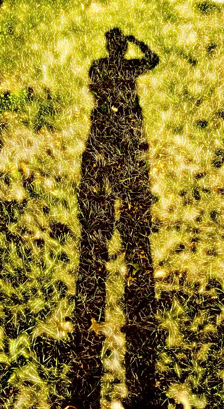 Me on grass - by Tony Karp