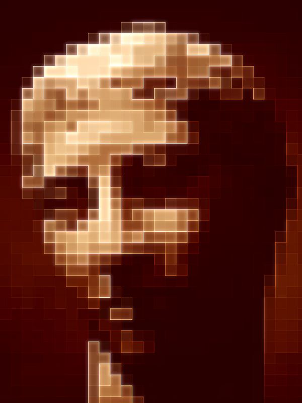Portrait in shades of brown - by Tony Karp