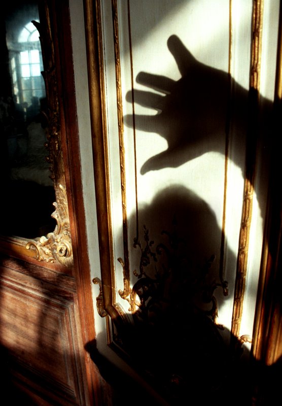 Inside the Rodin Museum - by Tony Karp