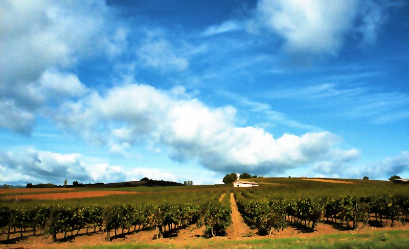 Where French wine comes from - by Tony Karp