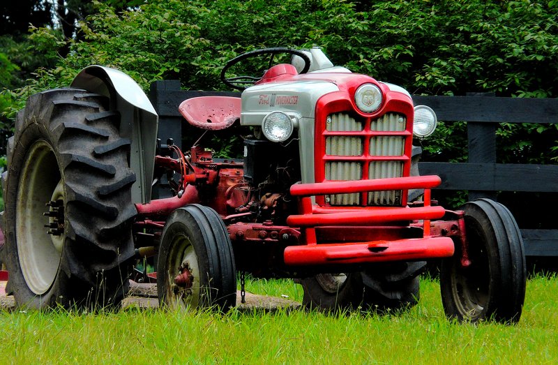 Tractor, A walk in the woods on my birthday - by Tony Karp